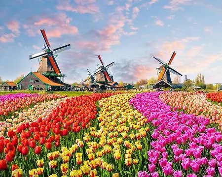 Tiny House Lindenhouse