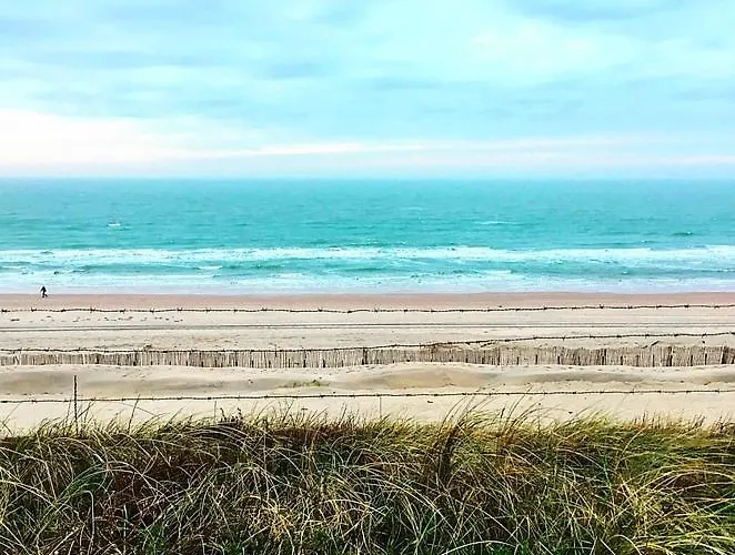 Gasthuis Tiny House Lindenhouse